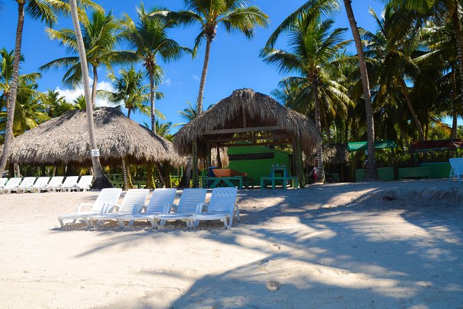 Punta Cana : Saona Island Day Tour - The included buffet Dominican lunch and open bar value check