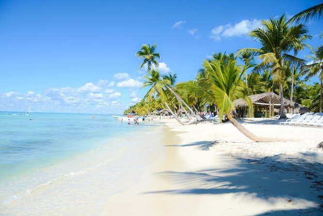 Punta Cana : Saona Island Day Tour - Price and logistics: is $79.99 a smart buy?