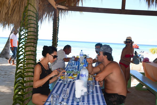 Punta Cana : Saona Island Day Tour - Getting to Isla Saona: boats, beaches, and the big nature reserve moment