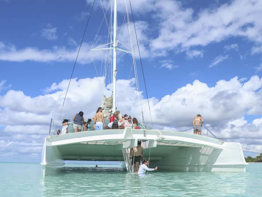 Punta Cana: Saona Island Day Trip with Blue Lagoon & Lunch - Key things I’d zoom in on before you book