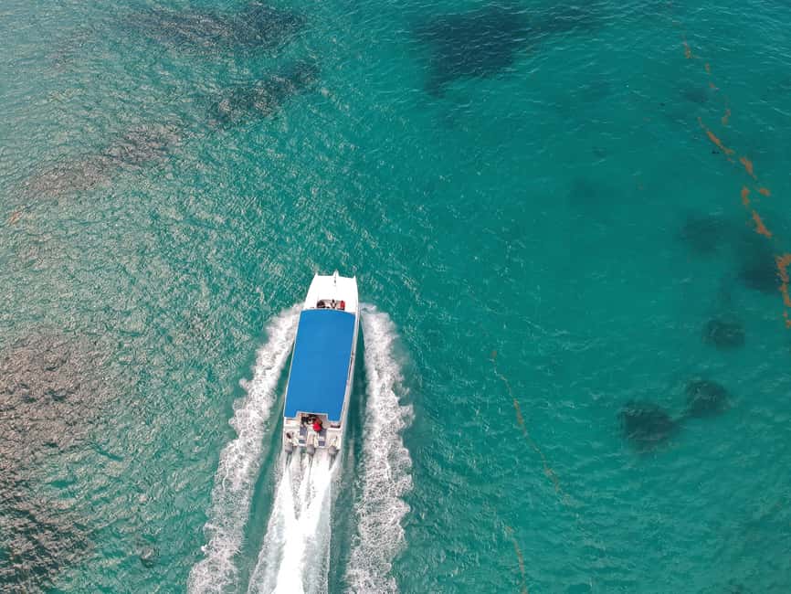 Punta Cana: Saona Island Full-Day All-Inclusive Boat Tour - Saona Island Beach Time, What to Do With Those Hours