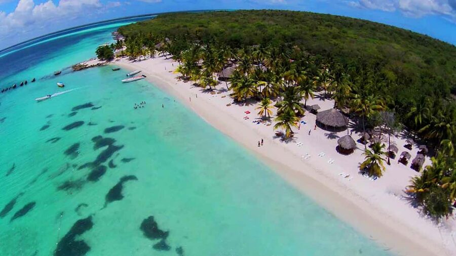 Punta Cana: Saona Island Full-Day All-Inclusive Boat Tour - Catamaran Return With Music, Dancing, and Open Bar Energy