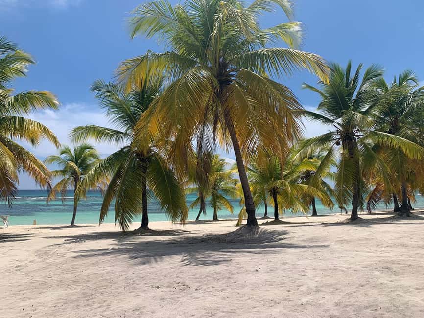 Punta Cana: Saona Island Premium 3 beaches - How This Saona Day Works From Punta Cana and Bayahibe