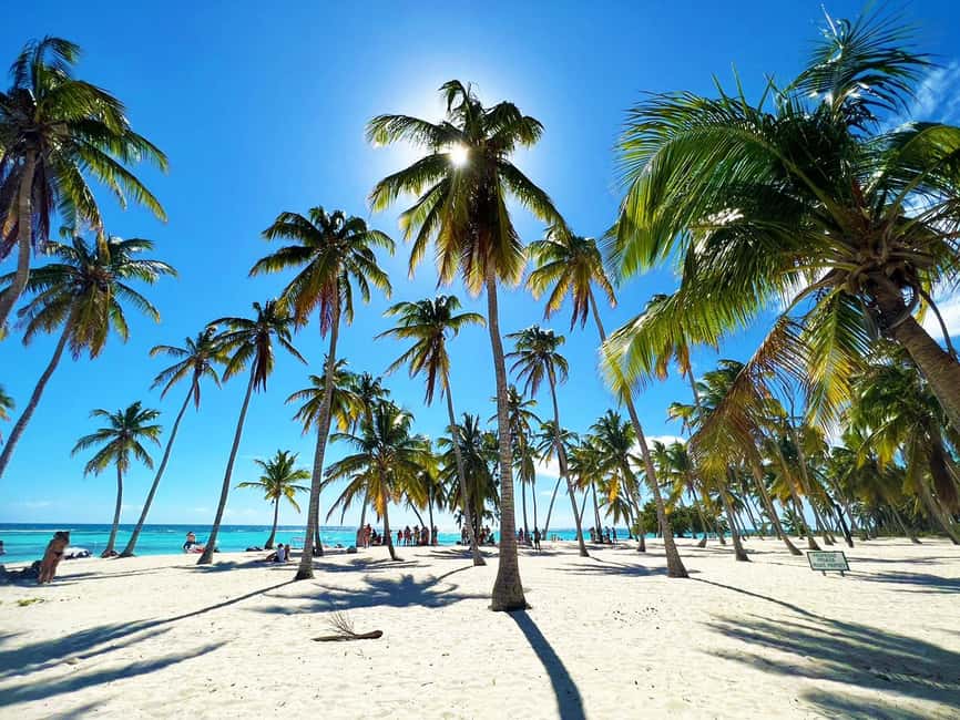 Punta Cana: Saona Island Premium 3 beaches - What You Do on Saona Island: Beaches, Mangroves, Turtle Sanctuary, and the Natural Pool