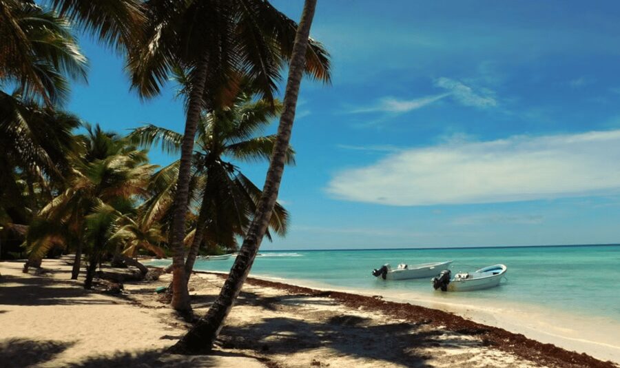 Punta Cana: Saona Island Tour with Lunch and Drinks - Who This Saona Tour Is Perfect For (and Who Should Think Twice)