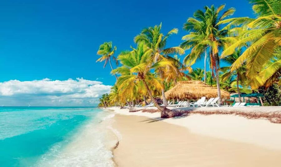 Punta Cana: Saona Island Tour with Lunch and Drinks - Saona Island Free Time: Beaches, Coconut Trees, and Where to Spend Your 2 Hours 45 Minutes