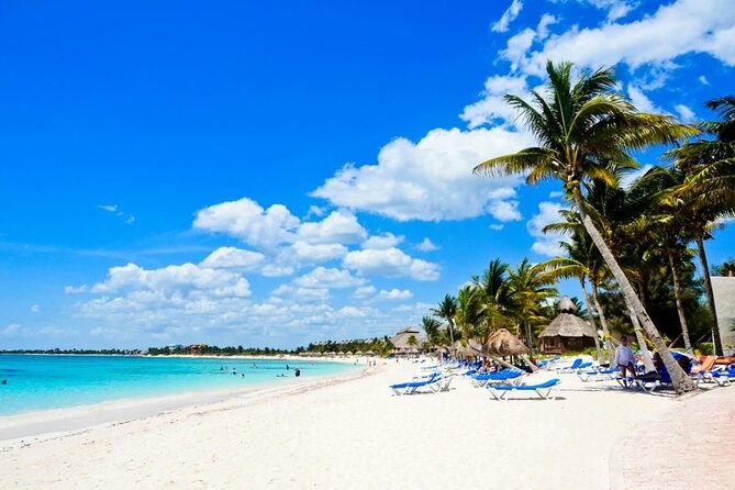Punta Cana: Saône Island in Catamaran, Small Groups, With Food - Lunch on the island: open bar and national drinks