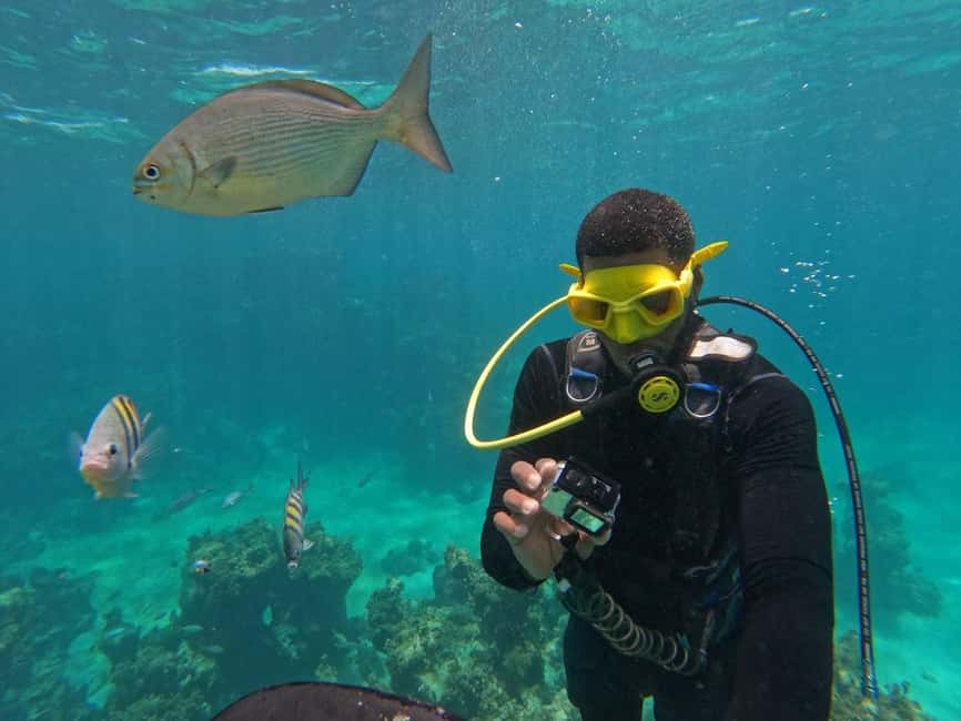 Punta Cana: Scuba Doo Adventure with Round-Trip Transfer - Who this tour fits best, and who should skip it