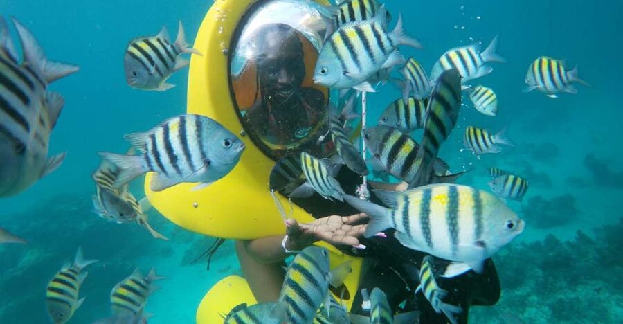 Punta Cana: Scubadoo Ocean Exploration Diving Adventure - What to Watch For: Short Time Underwater and Photo Pressure