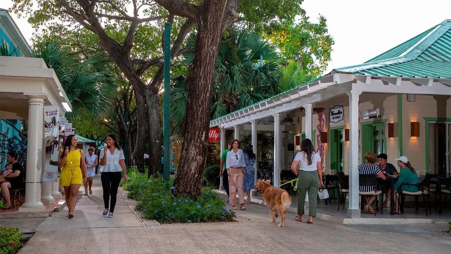 Punta Cana: Shopping Tour with Hotel Pickup and Drop-Off - The tasting session: cigars, coffee, chocolate, and Mamajuana