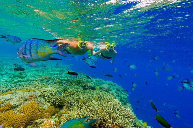 Punta Cana Snorkeling Cruise and Dune buggy Combo Adventure - Chocolate, Cinnamon, and Coffee Harvest Tasting Stop: Fun, But Manage Expectations