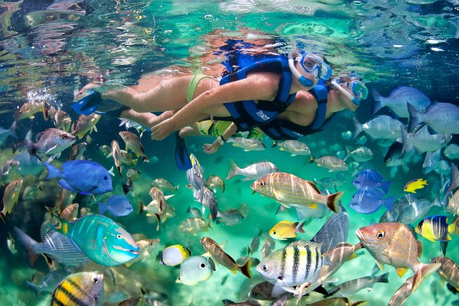 Punta Cana Snorkeling Party Cruise - The Natural Pool Party Stop, Where the Fun Shifts from Boat to Water