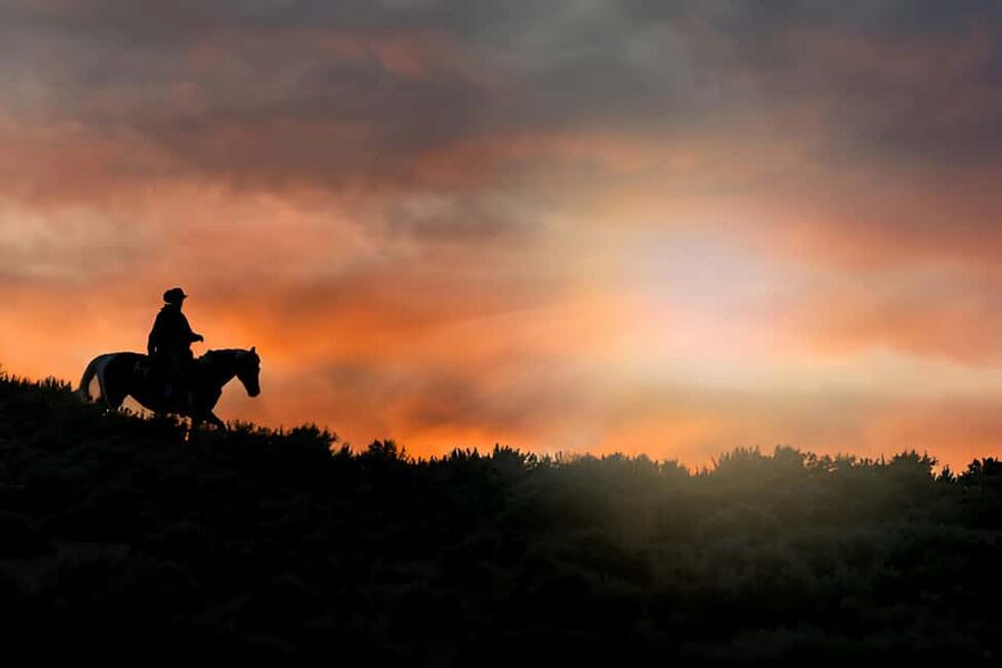 Punta Cana: Sunset Horseback Ride in Macao Beach and Forest - Key points to know before you ride