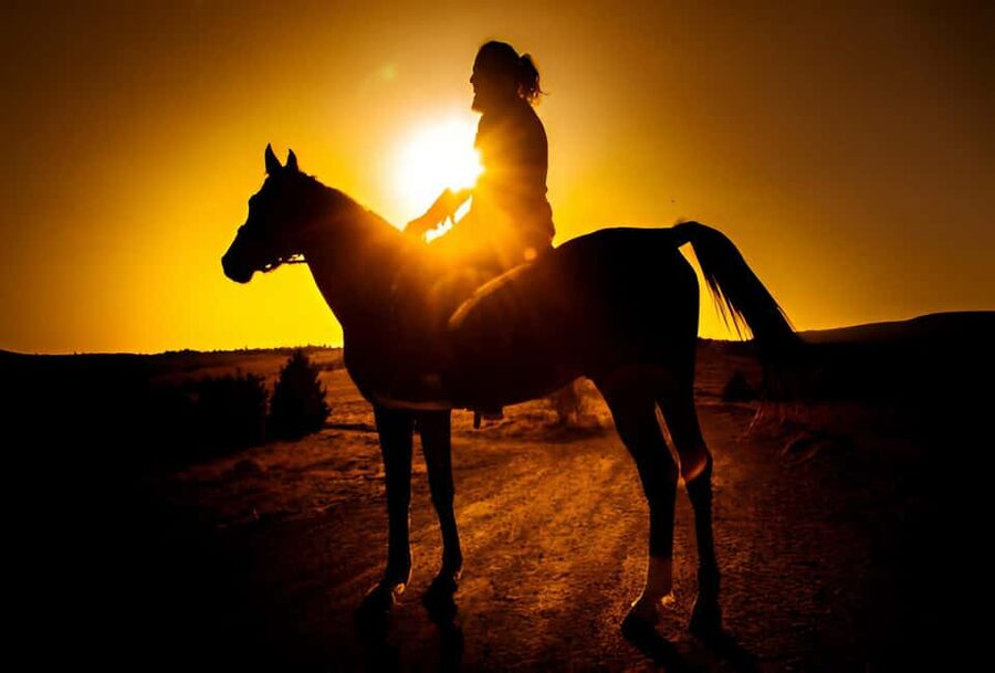 Punta Cana: Sunset Horseback Ride in Macao Beach and Forest - Sunset Horseback Ride in Macao Beach and Forest: the big idea