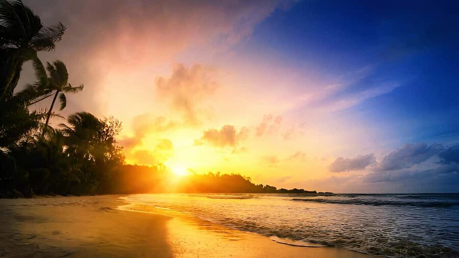 Punta Cana: Sunset Horseback Ride in Macao Beach and Forest - The 85 minutes on horseback: forest trail to Macao Beach