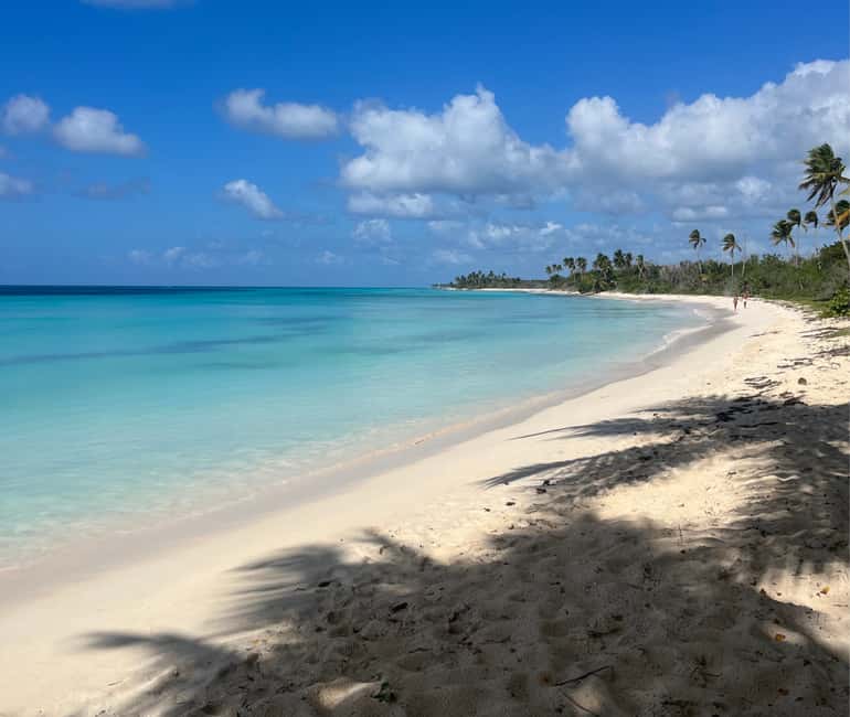 Punta Cana: Three Treasures of Saona - Palmilla, Pueblo & Canto de la playa - Playa de los Flamencos: Lagoon Calm and Flamingos in Season