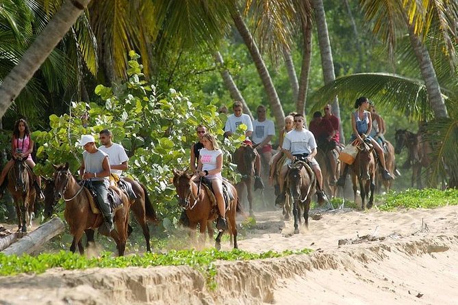 Punta Cana to Samana: El Limon Falls and Bacardi Island - 7:00 am pickup and the “where did my morning go?” reality