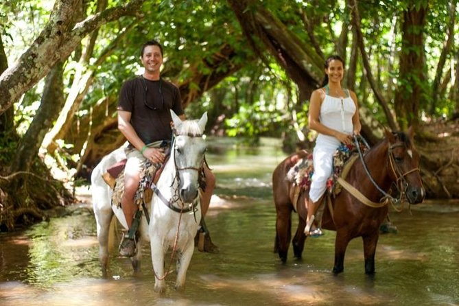 Punta Cana to Samana: El Limon Falls and Bacardi Island - Samana community drive: mountains, valleys, rivers, and guide talk