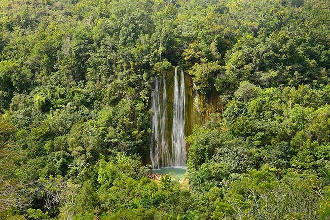 Punta Cana to Samana: El Limon Falls and Bacardi Island - Winter humpback whales: what you can realistically expect