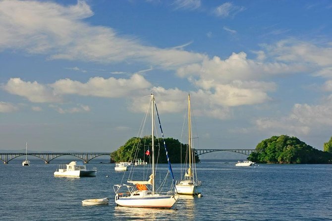 Punta Cana to Samana: El Limon Falls and Bacardi Island - Samana Bay boat ride: the scenic warm-up before the beach