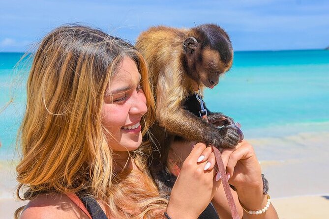 Punta Cana Tour in Atv + Horseback Riding Pick up Hotel - What You’re Really Paying For at $78.01