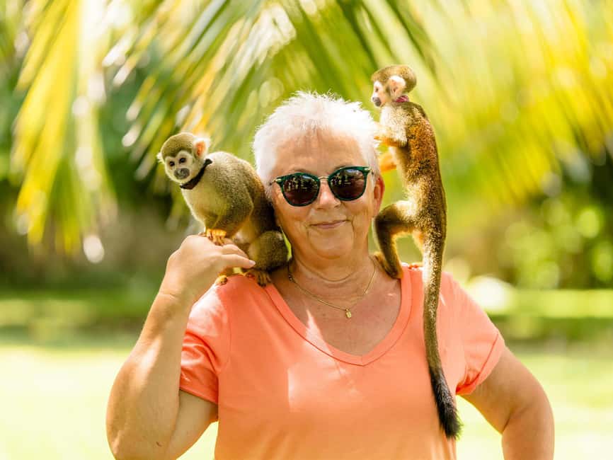 Punta Cana: Tour Monkey Adventure With Hotel Pick Up - Key highlights worth planning for