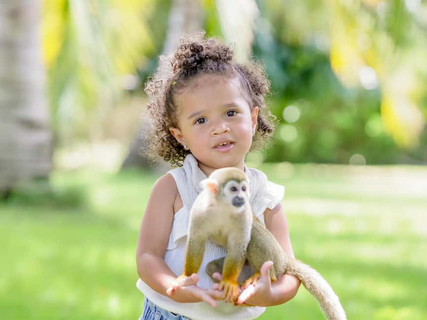 Punta Cana: Tour Monkey Adventure With Hotel Pick Up - A Punta Cana monkey tour that actually feels hands-on