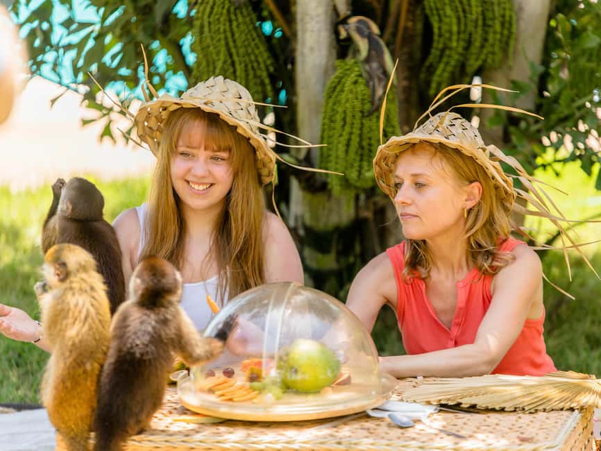 Punta Cana: Tour Monkey Adventure With Hotel Pick Up - Price and photos: how to judge the real cost before you go