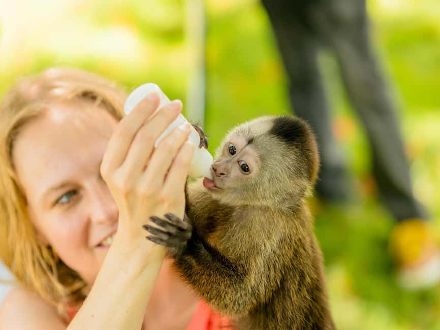 Punta Cana: Tour Monkey Adventure With Hotel Pick Up - Animal care, handler support, and how to stay comfortable