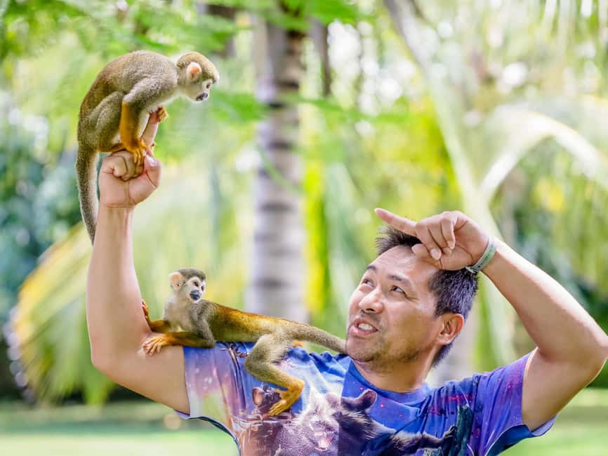 Punta Cana: Tour Monkey Adventure With Hotel Pick Up - Getting there smoothly: hotel pickup, timing, and what it means