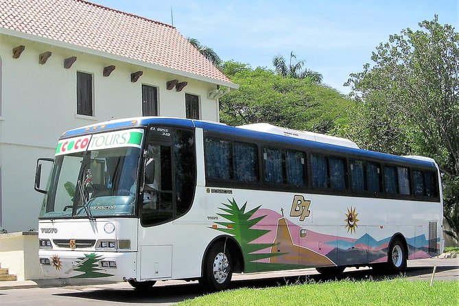 Punta Cana transfer to local resorts - One-Way or Round-Trip: Matching Your Transfer to Your Real Schedule