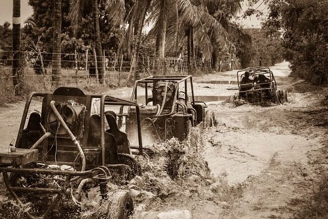 Punta Cana: Ultimate Dune Buggy Experience in Macao Beach Caves - The Dominican Cocoa and Coffee Farm Visit: What You Actually Learn