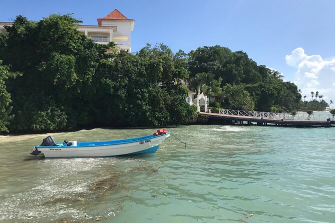 Punta Cana: Whale Watching and Bacardi Island Day Trip - The boat experience: motion, visibility, and small rules that matter