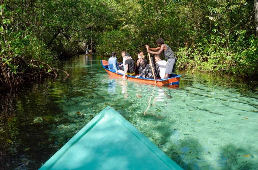 Punta Cana: Whale Watching, Cayo Levantado & Limon Waterfall - Key things to know before you go