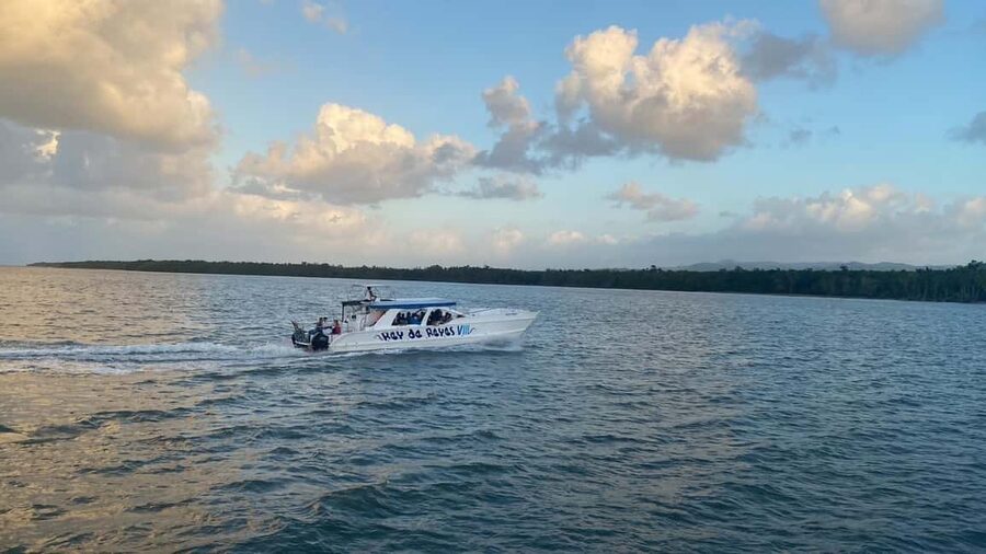 Punta Cana: Whale Watching, Cayo Levantado & Limon Waterfall - The horseback ride to El Limón Waterfall (the main event)