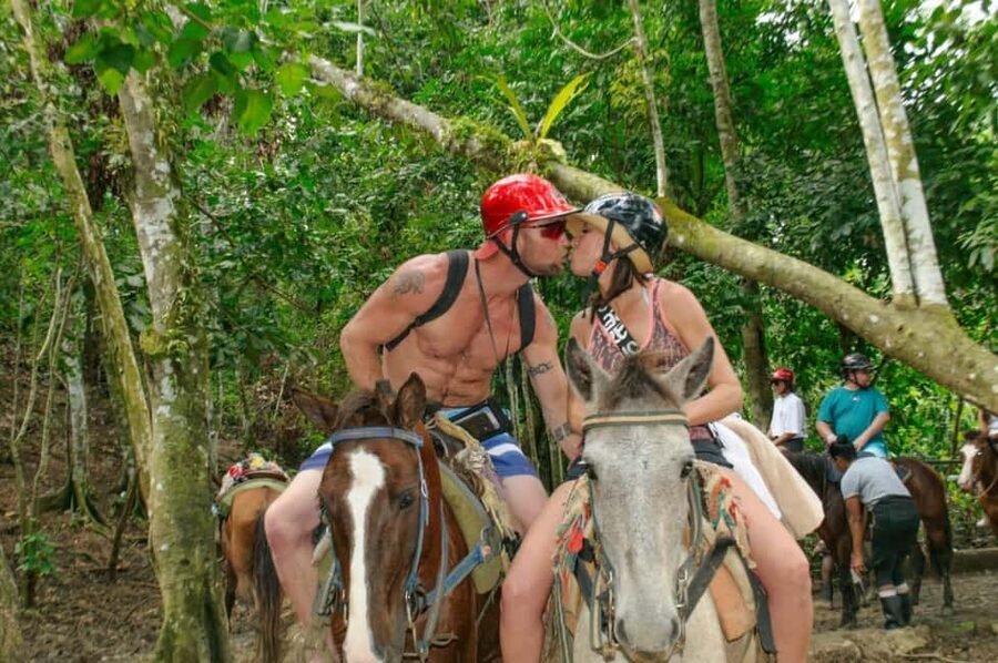 Punta Cana: Whale Watching, Cayo Levantado & Limon Waterfall - Whale watching on the Samaná route: what to expect without getting misled