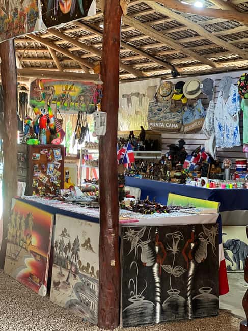 Punta Cana: Wild Off-Road Dune Buggy Adventure - Why this Punta Cana day trip feels more like the Dominican countryside