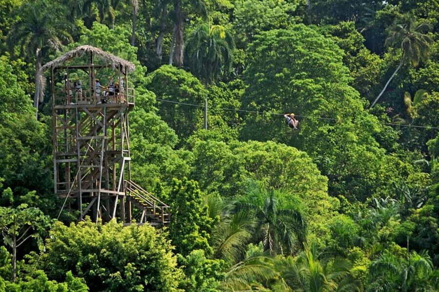 Punta Cana: Zip-Lining 12 Cables - Price and value: how $90 stacks up for 12 cables
