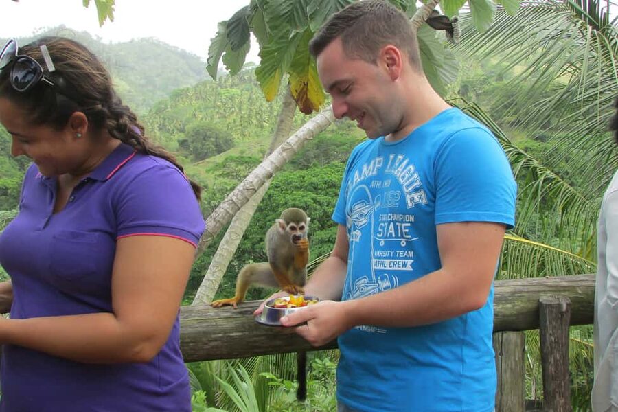 Punta Cana: Ziplines Adventures & Monkeyland Entry - Guides and Drivers: The People Who Make It Run Smooth