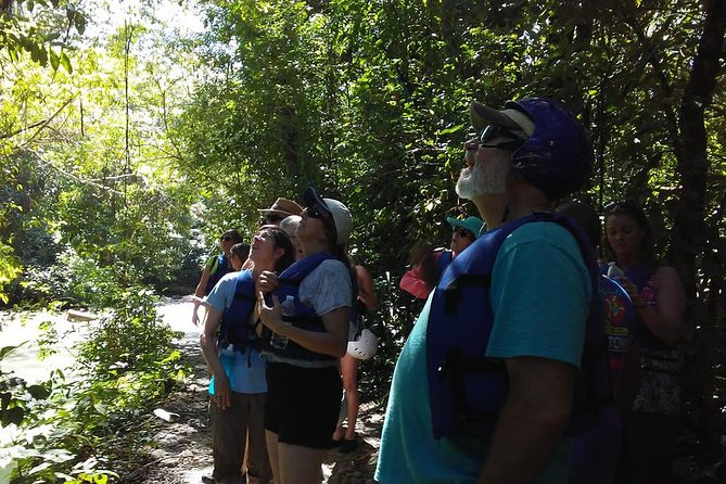 Rainforest Trek to Natural Pool - Taino Bay & Amber Cove ports - Damajagua Natural Pool, the Waterfall Stop That Makes the Whole Day