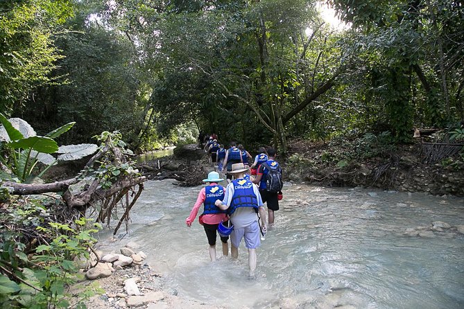 Rainforest Trek to Natural Pool - Taino Bay & Amber Cove ports - Price and Value at $79, What You’re Actually Paying For