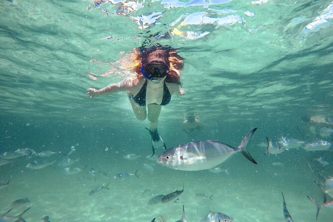 Reef Explorer Half Day Trip - Reef Explorer at Bávaro Beach: The Quick, Practical Reason It Works
