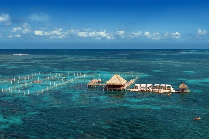 Reef Explorer Half Day Trip - Included Equipment: Snorkeling Gear Plus More Ways to Play