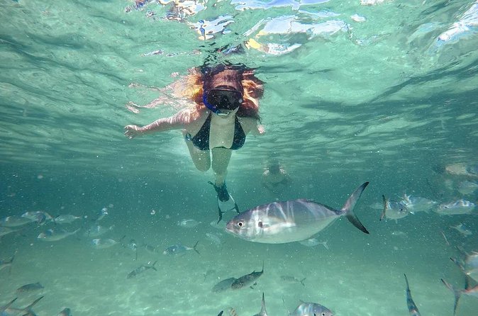 Reef Explorer Half Day Trip - Bávaro Beach Time: Relax, Float, and Mix Activities