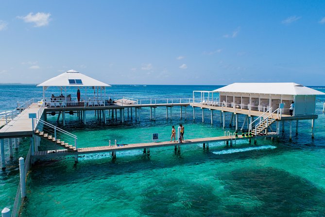 Reef Explorer Multiple activity Excursion from Punta Cana by Marinarium - Key highlights you will feel right away