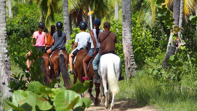 Ride Horses on the Beach - Choosing Your Horse: Why It Matters for Beginners
