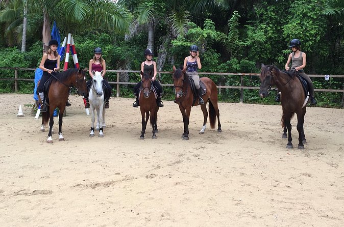 Ride Horses on the Beach - Trail Time on the Samana Peninsula: Trees, Shade, and Local Flavor