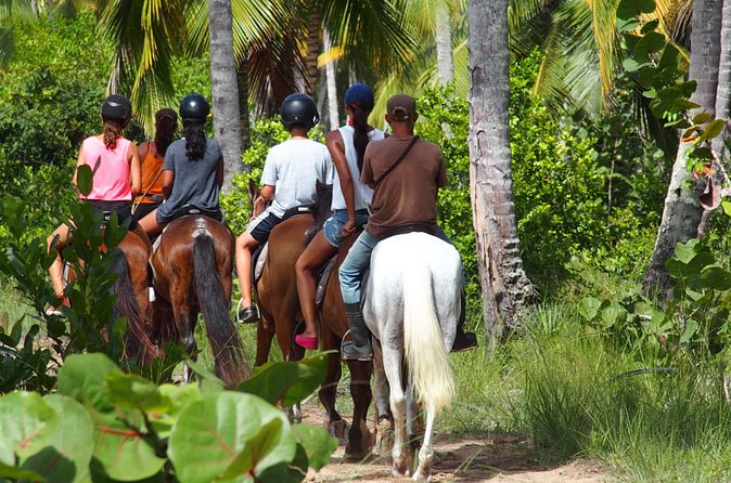 Ride Horses on the Beach - Alleman Beach Break: Shallows, Photos, and a Real Pause
