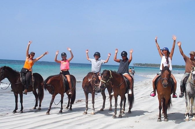 Ride Horses on the Beach - Drinks, Water, and What You Can Buy On Site
