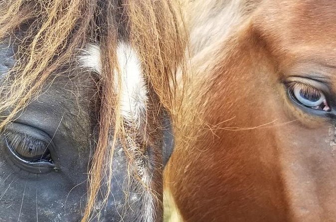 Ride Horses on the Beach - What to Wear: Simple Rules That Make the Ride Easier